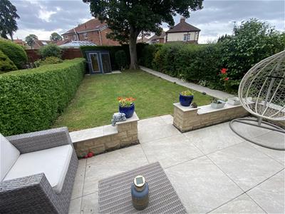 Picture 19